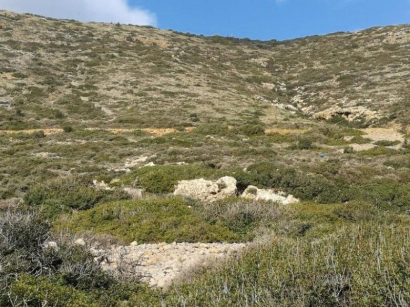 Plaka bei Elounda Kreta, Plaka Elounda: Bauland direkt am Meer zu verkaufen Grundstück kaufen